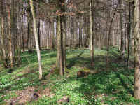 DSCF0407b.jpg (968431 Byte)