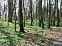 DSCF0414b.jpg (1019141 Byte)