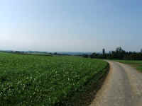 DSCF1426.jpg (63672 Byte)