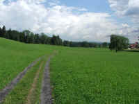 DSCF0973.jpg (79114 Byte)