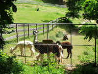 tsts2_12_011.jpg (196267 Byte)