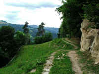 tsts2_12_012.jpg (123870 Byte)