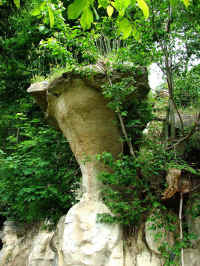 tsts2_12_013.jpg (317047 Byte)