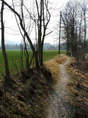 DSCF2052.jpg (121330 Byte)