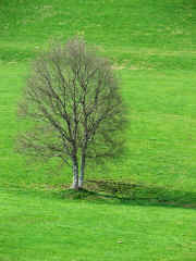 DSCF2108b.jpg (123565 Byte)