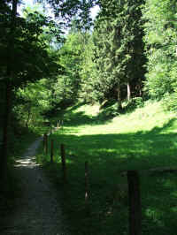 DSCF1022.jpg (119766 Byte)