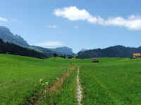 DSCF1030.jpg (63398 Byte)