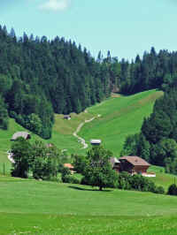 DSCF1033.jpg (89891 Byte)