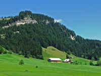 DSCF1034.jpg (70364 Byte)