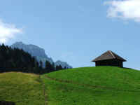 DSCF1035.jpg (46106 Byte)