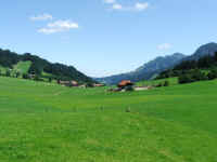 DSCF1036.jpg (56945 Byte)