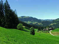 DSCF1049.jpg (72879 Byte)