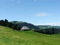 DSCF1054.jpg (50479 Byte)