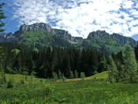 DSCF1069.jpg (88890 Byte)