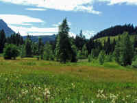 DSCF1071.jpg (96523 Byte)