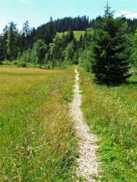 DSCF1072.jpg (130119 Byte)