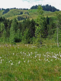 DSCF1073.jpg (135247 Byte)