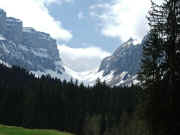 DSCF2115b.jpg (59532 Byte)