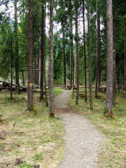 DSCF2118b.jpg (147723 Byte)