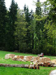 DSCF2148b.jpg (126340 Byte)