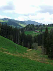 DSCF2155b.jpg (56094 Byte)