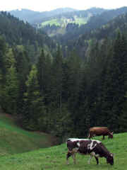 DSCF2164b.jpg (70718 Byte)