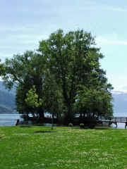 DSCF2297b.jpg (98188 Byte)