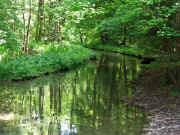 DSCF2325b.jpg (120933 Byte)