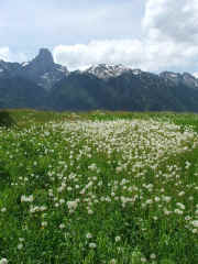 DSCF2335.jpg (104121 Byte)