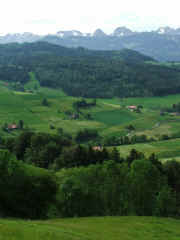 DSCF2379b.jpg (59632 Byte)