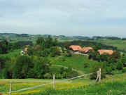 DSCF2382b.jpg (75249 Byte)