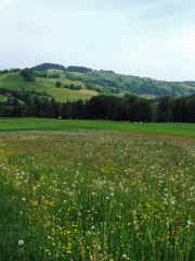 DSCF2385b.jpg (84287 Byte)