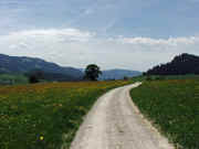 DSCF2403b.jpg (66736 Byte)