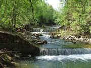 DSCF2413b.jpg (141571 Byte)