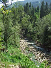 DSCF2426b.jpg (152799 Byte)