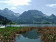 DSCF2447b.jpg (66932 Byte)