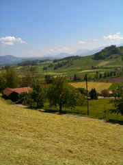 IMG_0255.jpg (60783 Byte)