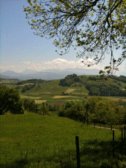 IMG_0257.gif (195753 Byte)