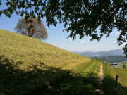 IMG_0258.jpg (80139 Byte)