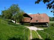 IMG_0260.jpg (82106 Byte)