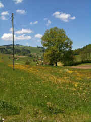 IMG_0272.jpg (73447 Byte)