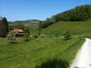 IMG_0275.jpg (54862 Byte)