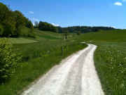 IMG_0276.jpg (62006 Byte)