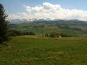 IMG_0292.jpg (54100 Byte)