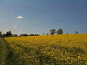 IMG_0295.jpg (60345 Byte)