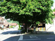 dscf2363.jpg (182664 Byte)