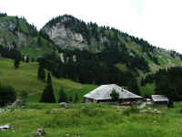 DSCF1089_1.jpg (73848 Byte)