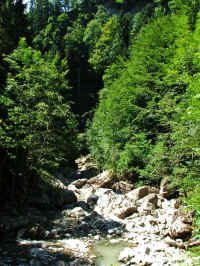 DSCF1145_1.jpg (143673 Byte)