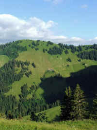 DSCF1201_1.jpg (64968 Byte)