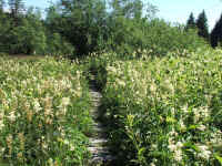 DSCF1265_1.jpg (166209 Byte)